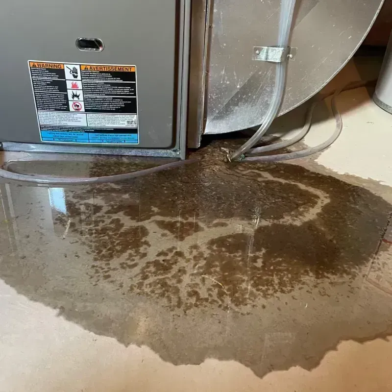 Appliance Leak Cleanup in Saint Johns, MO